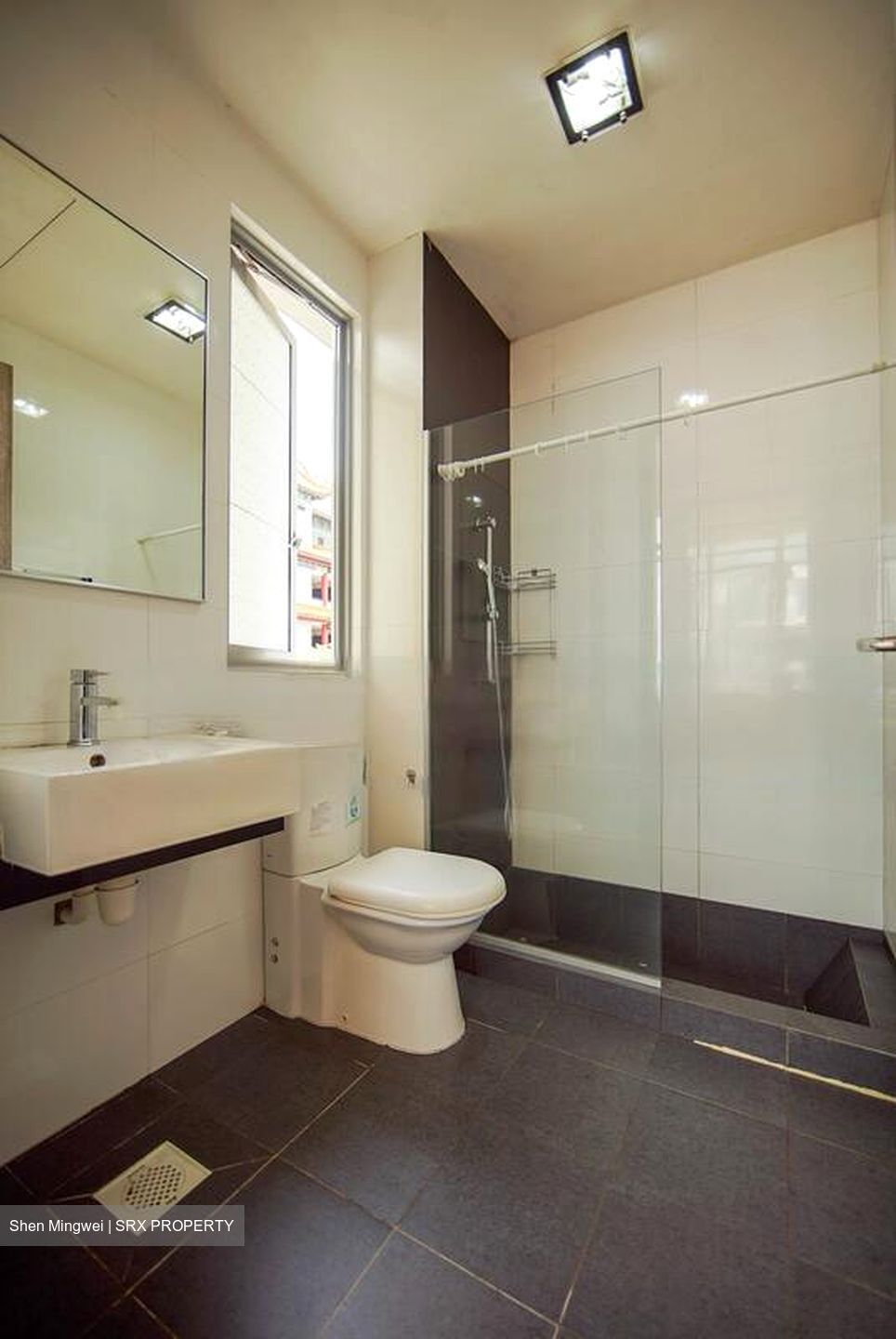 Suites @ Shrewsbury (D11), Apartment #458458241